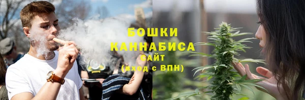 дмт Арсеньев
